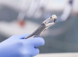 Gloved hand holding extracted tooth with forceps